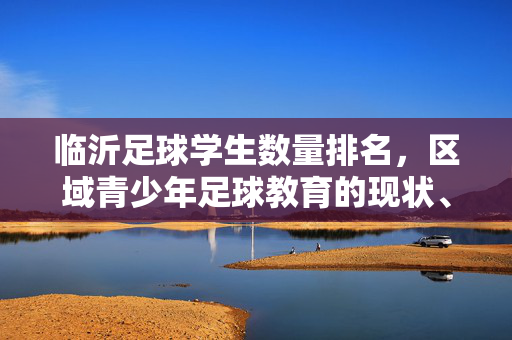 临沂足球学生数量排名，区域青少年足球教育的现状、挑战与未来展望，临沂青少年足球学生数量排名，区域足球教育现状、挑战与未来展望
