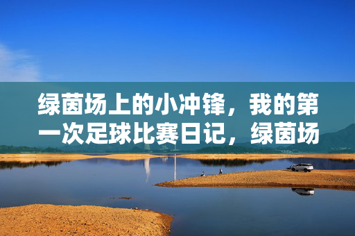 绿茵场上的小冲锋，我的第一次足球比赛日记，绿茵场上的小冲锋，我的第一次足球比赛日记