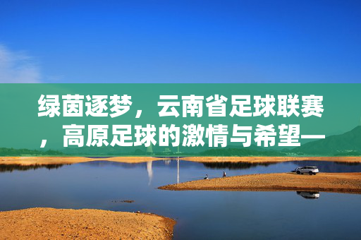 绿茵逐梦，云南省足球联赛，高原足球的激情与希望——记云南省足球联赛的发展与魅力