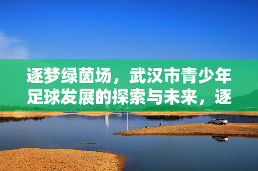 逐梦绿茵场,武汉市青少年足球发展的探索与未来,逐梦绿茵场,武汉市青少年足球发展的探索与未来
