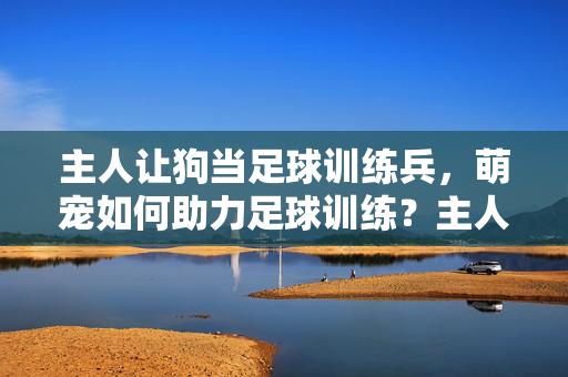 主人让狗当足球训练兵,萌宠如何助力足球训练?主人让狗当足球训练兵,萌宠如何助力足球训练?