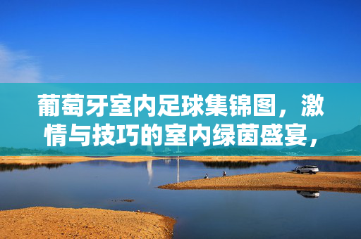 葡萄牙室内足球集锦图,激情与技巧的室内绿茵盛宴,葡萄牙室内足球集锦图,激情与技巧的室内绿茵盛宴