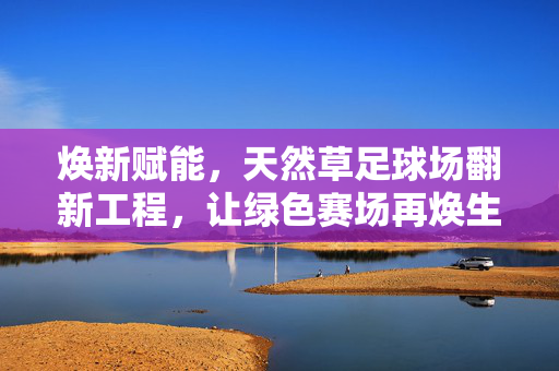 焕新赋能,天然草足球场翻新工程,让绿色赛场再焕生机,焕新赋能,天然草足球场翻新工程,让绿色赛场再焕生机