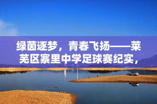 绿茵逐梦，青春飞扬——莱芜区寨里中学足球赛纪实，绿茵逐梦，青春飞扬——莱芜区寨里中学足球赛纪实