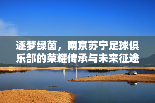 逐梦绿茵，南京苏宁足球俱乐部的荣耀传承与未来征途，逐梦绿茵，南京苏宁足球俱乐部的荣耀传承与未来征途