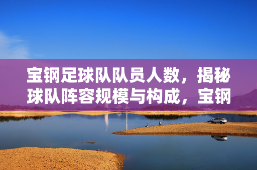 宝钢足球队队员人数，揭秘球队阵容规模与构成，宝钢足球队队员人数，揭秘球队阵容规模与构成