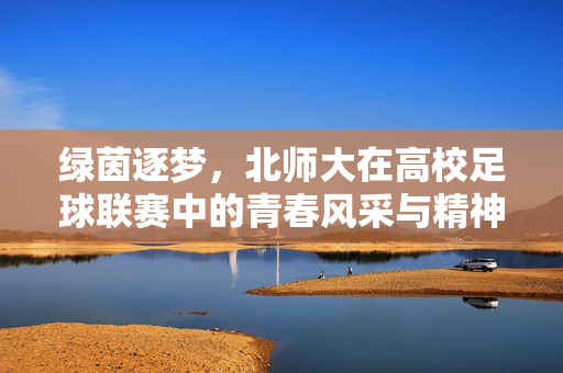 绿茵逐梦，北师大在高校足球联赛中的青春风采与精神传承，绿茵逐梦，北师大在高校足球联赛中的青春风采与精神传承