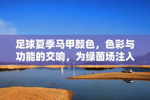 足球夏季马甲颜色，色彩与功能的交响，为绿茵场注入活力与个性，足球夏季马甲，色彩与功能的交响，为绿茵场注入活力与个性