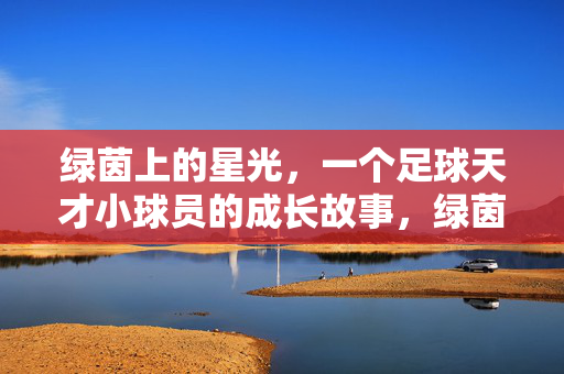 绿茵上的星光，一个足球天才小球员的成长故事，绿茵上的星光，一个足球天才小球员的成长故事