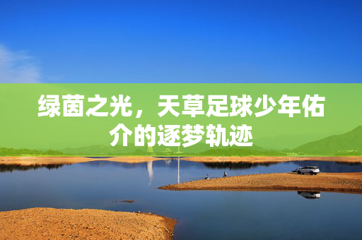 绿茵之光，天草足球少年佑介的逐梦轨迹