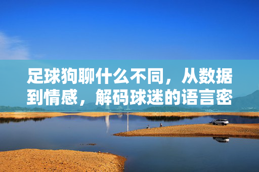 足球狗聊什么不同，从数据到情感，解码球迷的语言密码