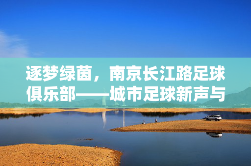 逐梦绿茵，南京长江路足球俱乐部——城市足球新声与青春力量的集结号