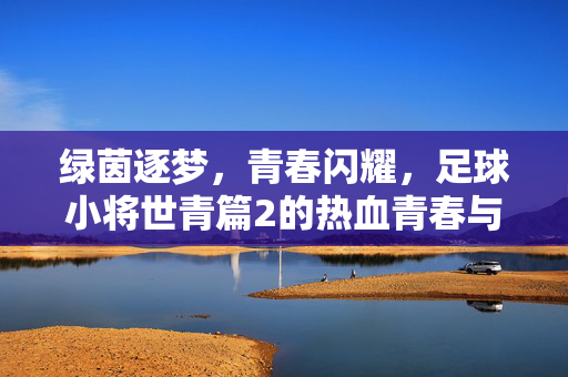 绿茵逐梦，青春闪耀，足球小将世青篇2的热血青春与成长史诗