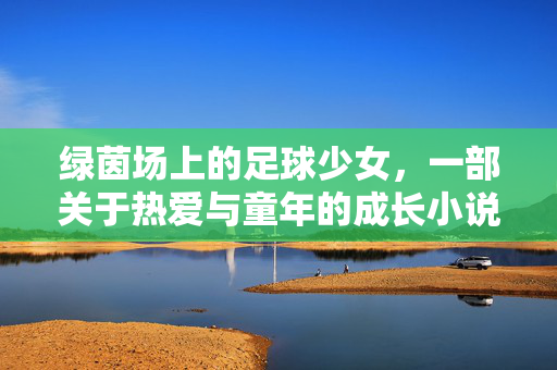 绿茵场上的足球少女，一部关于热爱与童年的成长小说