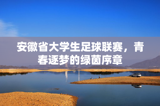 安徽省大学生足球联赛，青春逐梦的绿茵序章