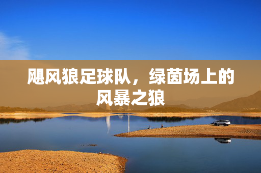 飓风狼足球队，绿茵场上的风暴之狼