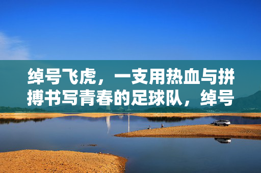 绰号飞虎，一支用热血与拼搏书写青春的足球队，绰号飞虎，一支用热血与拼搏书写青春的足球队