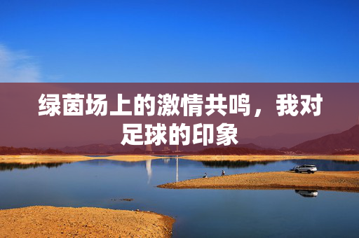 绿茵场上的激情共鸣,我对足球的印象