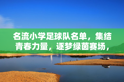 名流小学足球队名单，集结青春力量，逐梦绿茵赛场，名流小学足球队名单，集结青春力量，逐梦绿茵赛场
