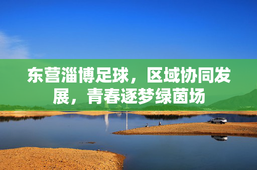 东营淄博足球，区域协同发展，青春逐梦绿茵场