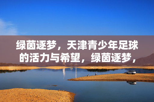 绿茵逐梦，天津青少年足球的活力与希望，绿茵逐梦，天津青少年足球的活力与希望