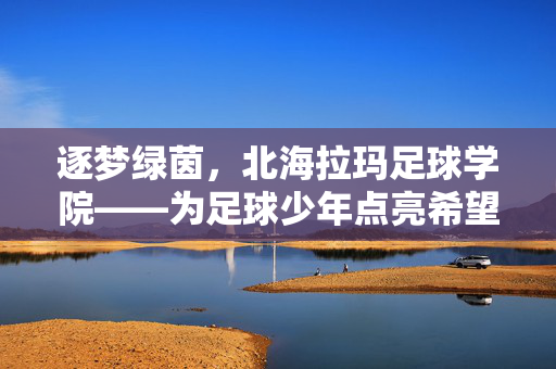 逐梦绿茵，北海拉玛足球学院——为足球少年点亮希望之光