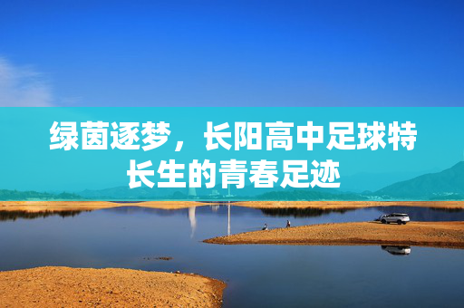 绿茵逐梦，长阳高中足球特长生的青春足迹