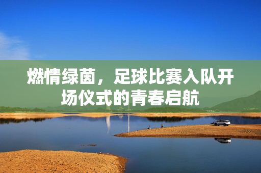 燃情绿茵，足球比赛入队开场仪式的青春启航