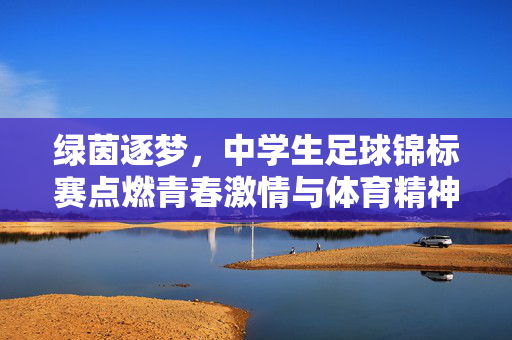 绿茵逐梦，中学生足球锦标赛点燃青春激情与体育精神，绿茵逐梦，中学生足球锦标赛点燃青春激情与体育精神