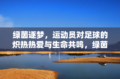 绿茵逐梦，运动员对足球的炽热热爱与生命共鸣，绿茵逐梦，运动员对足球的炽热热爱与生命共鸣