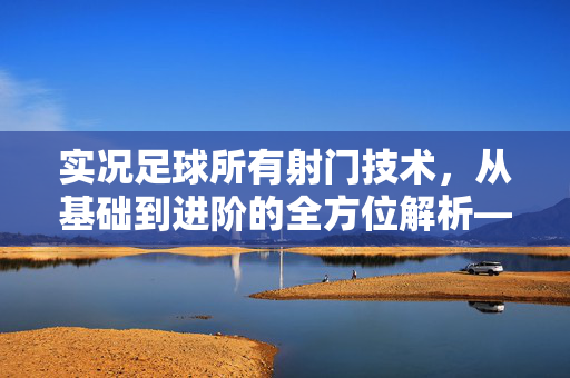 实况足球所有射门技术，从基础到进阶的全方位解析——掌握这些技巧，成为球场上的射手王，实况足球射门技术全解析，从基础到进阶，成为球场上的射手王