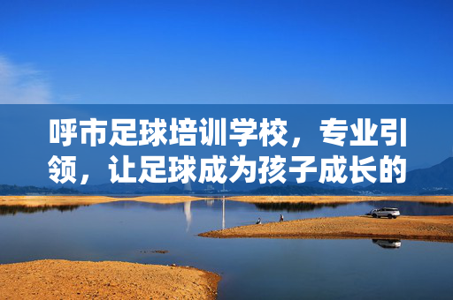 呼市足球培训学校，专业引领，让足球成为孩子成长的快乐引擎