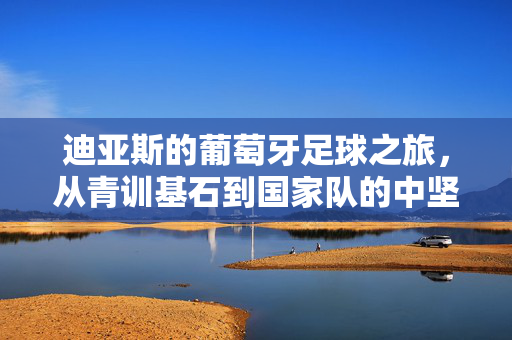 迪亚斯的葡萄牙足球之旅，从青训基石到国家队的中坚力量，迪亚斯的葡萄牙足球之旅，从青训基石到国家队的中坚力量