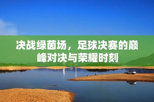 决战绿茵场,足球决赛的巅峰对决与荣耀时刻