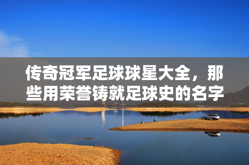 传奇冠军足球球星大全,那些用荣誉铸就足球史的名字与不朽传奇