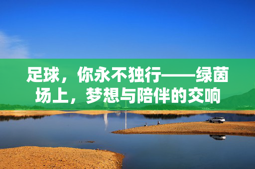 足球，你永不独行——绿茵场上，梦想与陪伴的交响