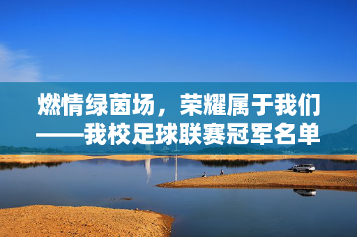 燃情绿茵场，荣耀属于我们——我校足球联赛冠军名单公布