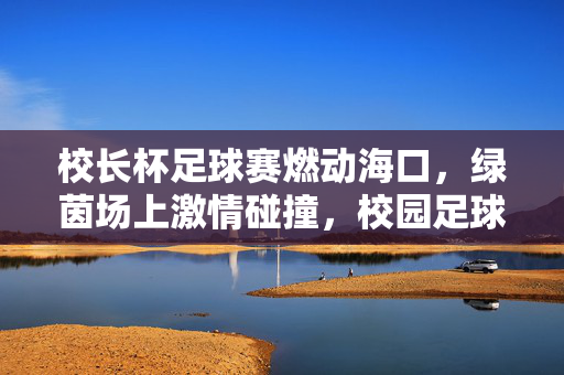 校长杯足球赛燃动海口，绿茵场上激情碰撞，校园足球活力绽放，校长杯足球赛燃动海口，绿茵场上激情碰撞，校园足球活力绽放
