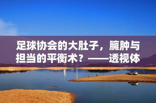 足球协会的大肚子，臃肿与担当的平衡术？——透视体育组织治理的结构性挑战，足球协会的大肚子，臃肿与担当的平衡术？——透视体育组织治理的结构性挑战