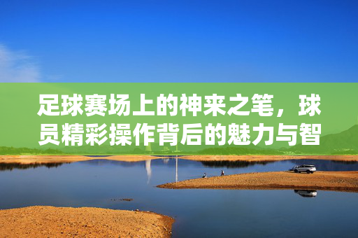 足球赛场上的神来之笔,球员精彩操作背后的魅力与智慧