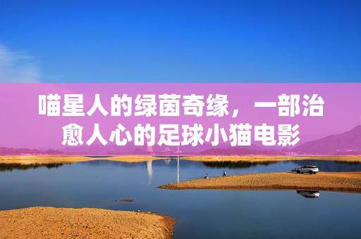 喵星人的绿茵奇缘，一部治愈人心的足球小猫电影