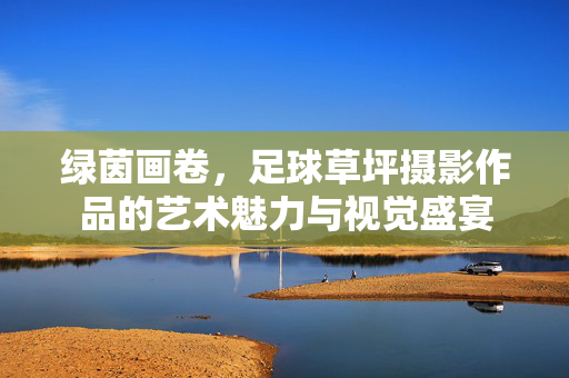 绿茵画卷，足球草坪摄影作品的艺术魅力与视觉盛宴