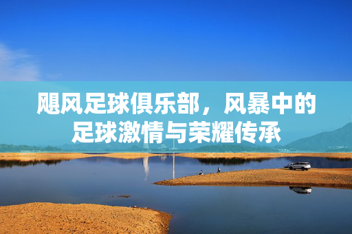 飓风足球俱乐部，风暴中的足球激情与荣耀传承