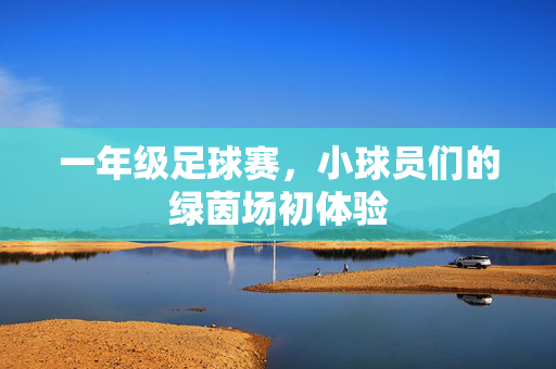 一年级足球赛，小球员们的绿茵场初体验