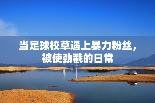 当足球校草遇上暴力粉丝，被使劲戳的日常