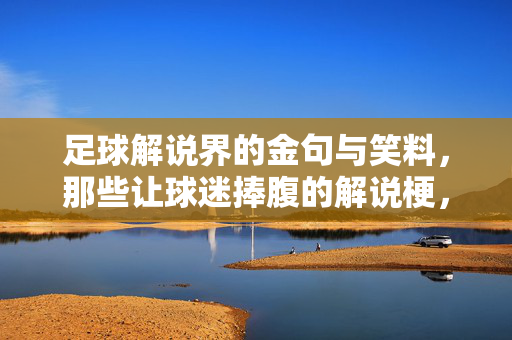 足球解说界的金句与笑料，那些让球迷捧腹的解说梗，足球解说界的金句与笑料，那些让球迷捧腹的爆笑解说梗