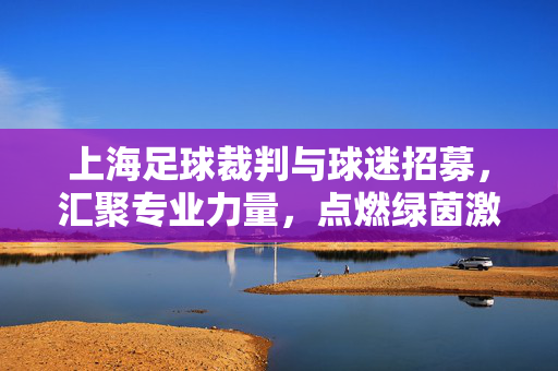 上海足球裁判与球迷招募，汇聚专业力量，点燃绿茵激情，共建足球城市足球生态新篇章