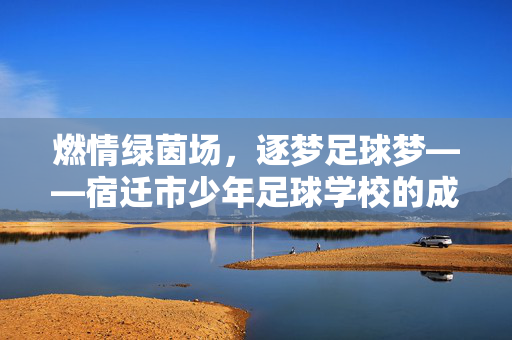 燃情绿茵场，逐梦足球梦——宿迁市少年足球学校的成长足迹