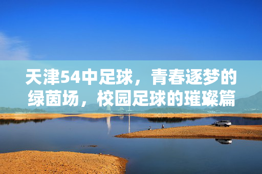 天津54中足球，青春逐梦的绿茵场，校园足球的璀璨篇章，天津54中足球，青春逐梦的绿茵场，校园足球的璀璨篇章