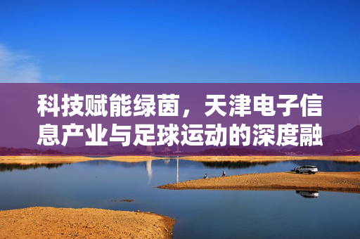 科技赋能绿茵，天津电子信息产业与足球运动的深度融合实践
